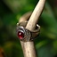 Medieval pewter ring, red - Celtic Webmerchant
