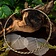 Naszyjnik wikingów Harald Bluetooth - Celtic Webmerchant