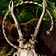 Celtic torc Bibracte - Celtic Webmerchant