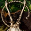 Torque celta Bibracte - Celtic Webmerchant