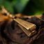 Viking tweezers Gotland - Celtic Webmerchant