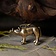 Ciondolo cinghiale celtico Bibracte - Celtic Webmerchant