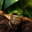 Rusvik anillo de Novgorod, bronce - Celtic Webmerchant