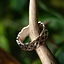 Norman Ring, Silver - Celtic Webmerchant