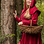 Cotehardie aus Samt Christina, rot - Celtic Webmerchant