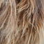 Axelpäls ragnar - Celtic Webmerchant