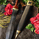 Windlass Steelcrafts Pugio British Museum - Celtic Webmerchant