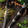 Deepeeka Pugnale (dirk) decorato - Celtic Webmerchant
