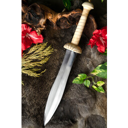 Gladiator dagger Pompeii - Celtic Webmerchant