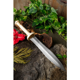 Gladiator dagger Pompeii - Celtic Webmerchant