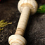 Gladiatorendolk Pompeii - Celtic Webmerchant