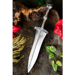 Pugio Pompeji - Celtic Webmerchant