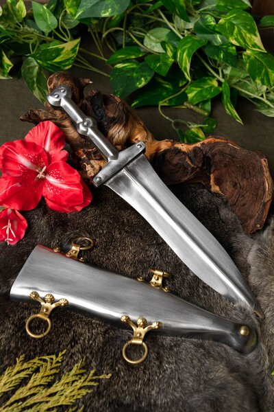 Pugio, Pompéi - Celtic Webmerchant