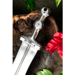 Pugio Quintanis - Celtic Webmerchant