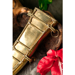 Pugio Gelderland - Celtic Webmerchant