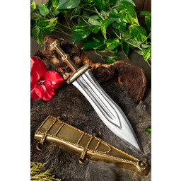 Pugio, Vitellius - Celtic Webmerchant