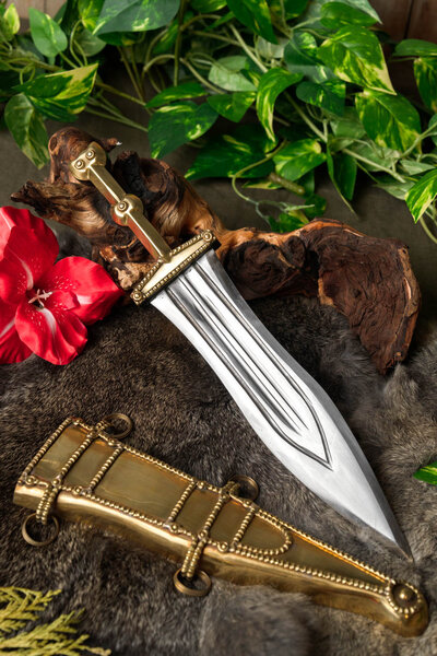 pugio Vitellius - Celtic Webmerchant