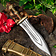 Deepeeka Pugio, Vitellius - Celtic Webmerchant