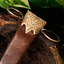 German Quillon Dagger with Sheath, 16th c. - Celtic Webmerchant