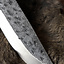Viking seax Jarlshof - Celtic Webmerchant