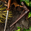 Roundel de la Armería Real, siglo 15 - Celtic Webmerchant