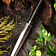 Deepeeka Boot dagger - Celtic Webmerchant