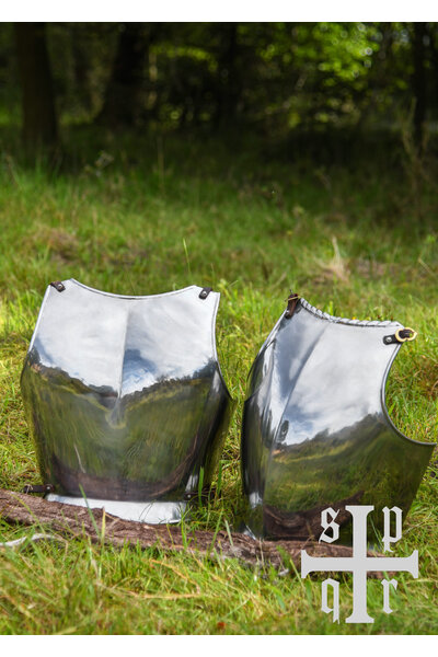 16th century cuirass and backplate - Celtic Webmerchant
