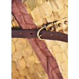 Armatura in scaglie lorica squamata - Celtic Webmerchant