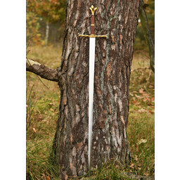 Middeleeuws zwaard Oakeshott XVIII - Celtic Webmerchant