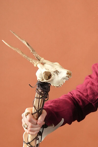 Calavera de ciervos con astas y mandíbulas - Celtic Webmerchant
