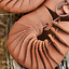 sandales romaines (carbatinae) - Celtic Webmerchant