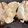 Peau de mouton légèrement mouchetée - Celtic Webmerchant
