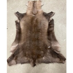 Piel de reno, oscura, 130-140 cm - Celtic Webmerchant