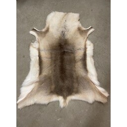Rendierhuid, medium, 130-140 cm - Celtic Webmerchant