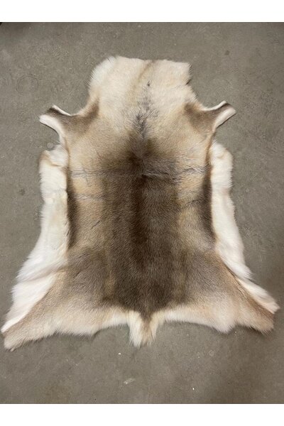 Reindeer skin, medium, 130-140 cm - Celtic Webmerchant