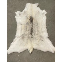 Reindeer skin, light, 130-140 cm - Celtic Webmerchant