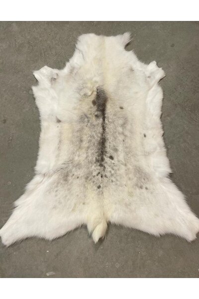 Reindeer skin, light, 130-140 cm - Celtic Webmerchant