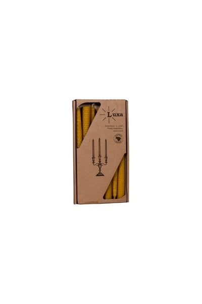 Gerolde bijenwaskaars 24 cm, set van 7 - Celtic Webmerchant