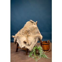 Pelle di cinghiale - Celtic Webmerchant