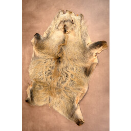 Wild boar hide - Celtic Webmerchant