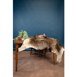 Red deer skin - Celtic Webmerchant