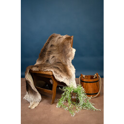Red deer skin - Celtic Webmerchant