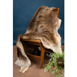 Peau de cerf rouge - Celtic Webmerchant