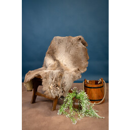 Red deer skin - Celtic Webmerchant
