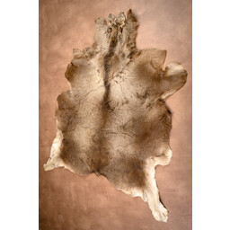 Red deer skin - Celtic Webmerchant