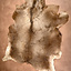 Peau de cerf rouge - Celtic Webmerchant