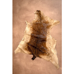 Fallow deer skin S - Celtic Webmerchant