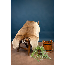 Fallow deer skin L - Celtic Webmerchant