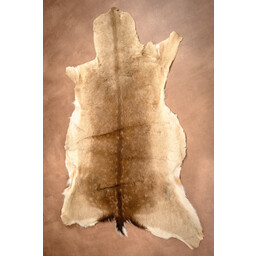 Fallow deer skin L - Celtic Webmerchant