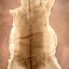 Fallow deer skin L - Celtic Webmerchant